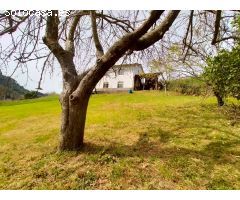 Parcela en Venta en Candamo, Asturias