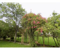 Chalet en Venta en San Esteban de Pravia, Asturias