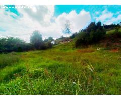 Parcela en Venta en Candamo, Asturias