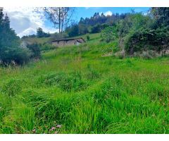 Parcela en Venta en Candamo, Asturias