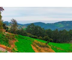 Parcela en Venta en San Esteban de Pravia, Asturias