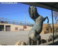 HIPICA. CENTRO HIPICO