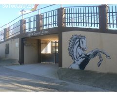 HIPICA. CENTRO HIPICO