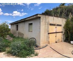 FINCA DE 140 HANEGADAS EN PLENA PRODUCCIÓN