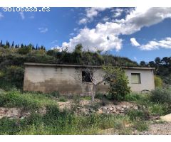 FINCA DE 140 HANEGADAS EN PLENA PRODUCCIÓN