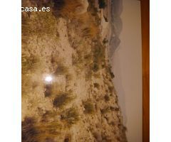 SE VENDE TERRENO RUSTICO  , 2600 METROS