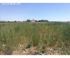SE VENDE TERRENO EN ELCHE (PERLETA)