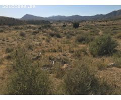 SE VENDE TERRENO , RUSTICO , ZONA MUY TRANQUILA , 35.000 MTS