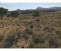 SE VENDE TERRENO , RUSTICO , ZONA MUY TRANQUILA , 35.000 MTS