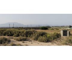SE VENDE TERRENO RUSTICO IDEAL PARA PONER UNA MOVIL HOME A 20 MINUTOS DE ALICANTE
