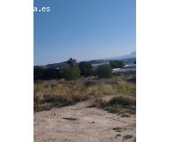 SE VENDE TERRENO 250000 METROS CUADRADOS  ZONA EL SABINAR  PEGADO A SAN VICENTE