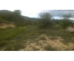 PARCELA PEGADA AL PUEBLO DE TORREMANZANAS /ARBOLES / 7.500 MTS