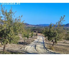 SE VENDE CHALET /MONOVAR / LISTO PARA VIVIR / ARBOLES FRUTALES