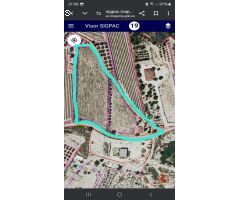 SE VENDE TERRENO EN MUY BUENA ZONA PEGADO A NOVELDA CON 10800 METROS DE TERRENO