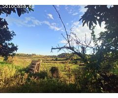 Parcela en Venta en Teulada, Alicante