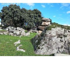 Parcela en Venta en Fresnedillas de la Oliva, Madrid
