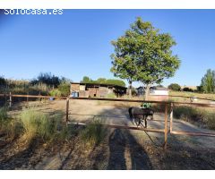 Finca rustica en Venta en Quijorna, Madrid
