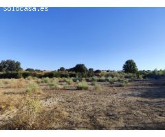 Finca rustica en Venta en Quijorna, Madrid