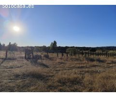 Finca rustica en Venta en Quijorna, Madrid