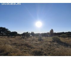 Finca rustica en Venta en Quijorna, Madrid