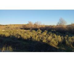 Finca rustica en Venta en Quijorna, Madrid
