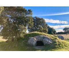 Finca rustica en Venta en Quijorna, Madrid