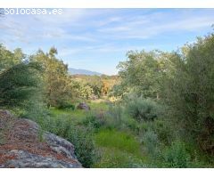 Finca rustica en Venta en Villanueva de la Vera, Cáceres