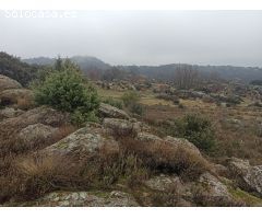 Finca rustica en Venta en Zarzalejo, Madrid