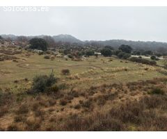 Finca rustica en Venta en Zarzalejo, Madrid