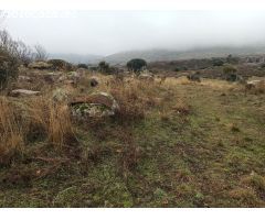 Finca rustica en Venta en Zarzalejo, Madrid