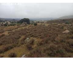 Finca rustica en Venta en Zarzalejo, Madrid