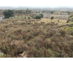 Finca rustica en Venta en Zarzalejo, Madrid