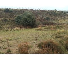 Finca rustica en Venta en Zarzalejo, Madrid