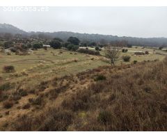 Finca rustica en Venta en Zarzalejo, Madrid