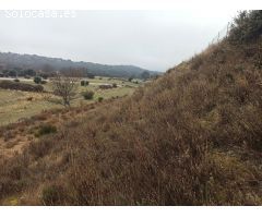 Finca rustica en Venta en Zarzalejo, Madrid