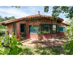 Finca rustica en Venta en Villanueva de la Vera, Cáceres