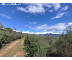 Finca rustica en Venta en Villanueva de la Vera, Cáceres