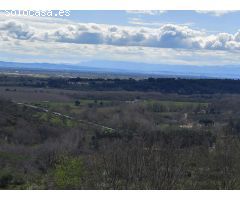 Finca rustica en Venta en Villanueva de la Vera, Cáceres