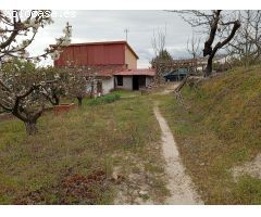 Finca rustica en Venta en Villanueva de la Vera, Cáceres