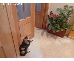 Piso en Venta en Villanueva de la Vera, Cáceres