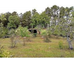 Finca rustica en Venta en Villanueva de la Vera, Cáceres