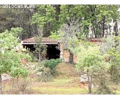 Finca rustica en Venta en Villanueva de la Vera, Cáceres