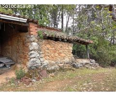 Finca rustica en Venta en Villanueva de la Vera, Cáceres