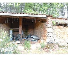 Finca rustica en Venta en Villanueva de la Vera, Cáceres