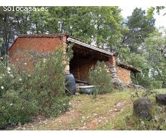 Finca rustica en Venta en Villanueva de la Vera, Cáceres