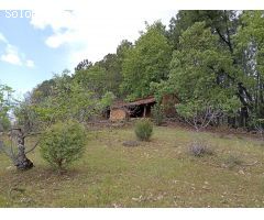 Finca rustica en Venta en Villanueva de la Vera, Cáceres