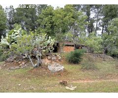 Finca rustica en Venta en Villanueva de la Vera, Cáceres