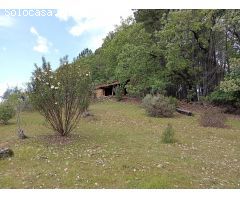 Finca rustica en Venta en Villanueva de la Vera, Cáceres