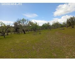 Finca rustica en Venta en Villanueva de la Vera, Cáceres