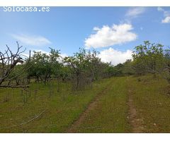 Finca rustica en Venta en Villanueva de la Vera, Cáceres